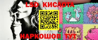 крисы Аргун