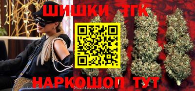 крисы Аргун
