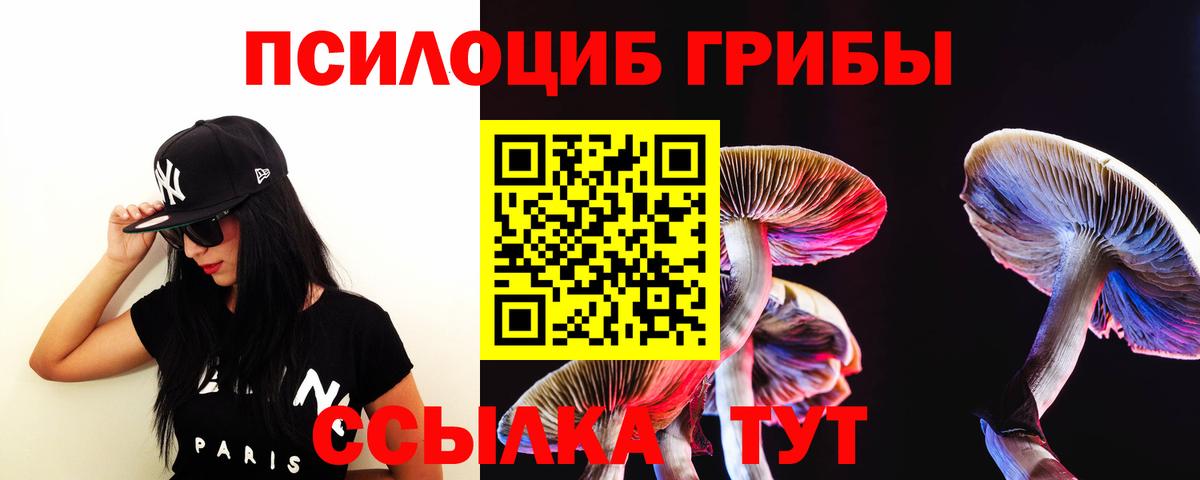 Галлюциногенные грибы Psilocybe  Вход с VPN  Брянск 