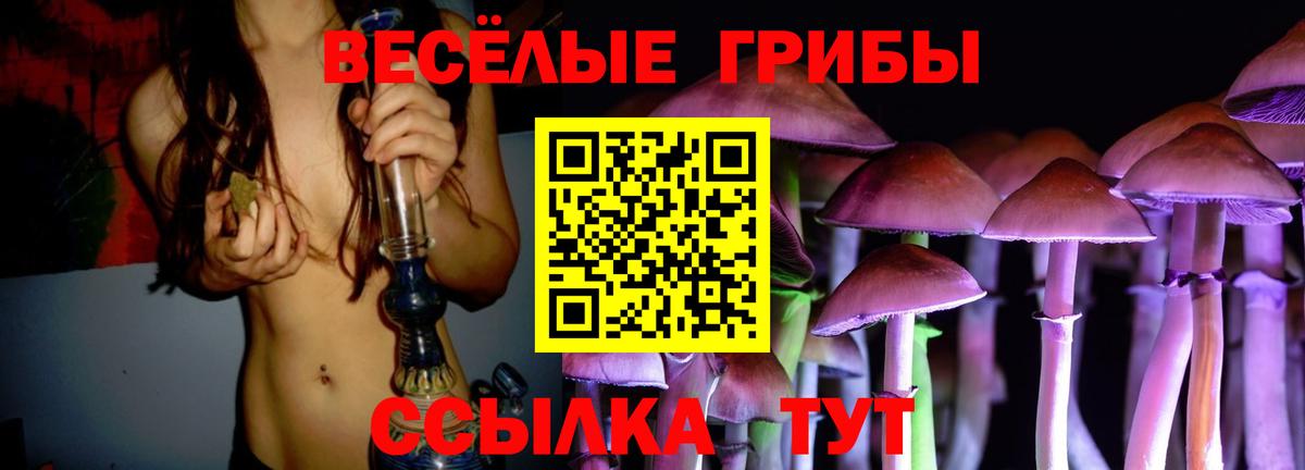 Галлюциногенные грибы Cubensis Брянск